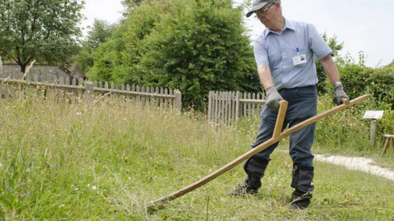 Grass Scythe Cutting Demonstration