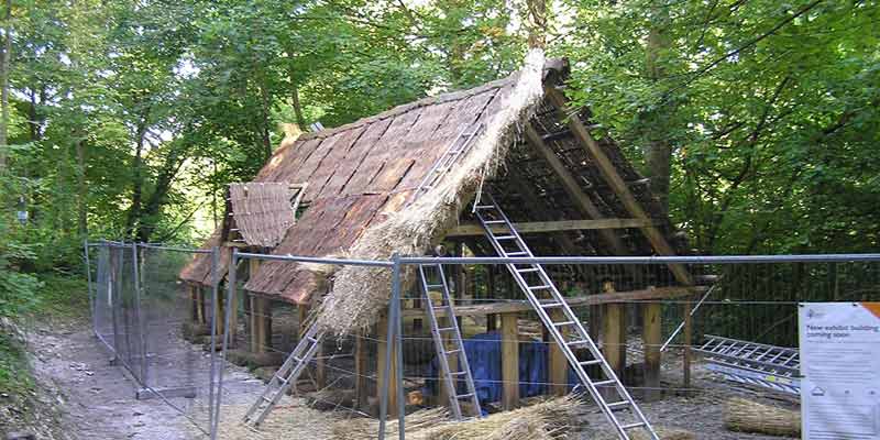 Saxon house construction: thatching