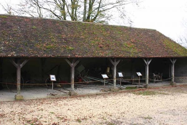 Sussex cattle shed