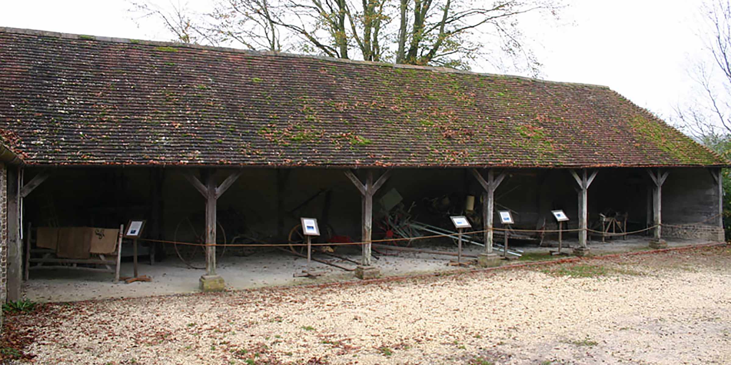 Sussex cattle shed