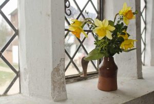 Daffodils on window sill