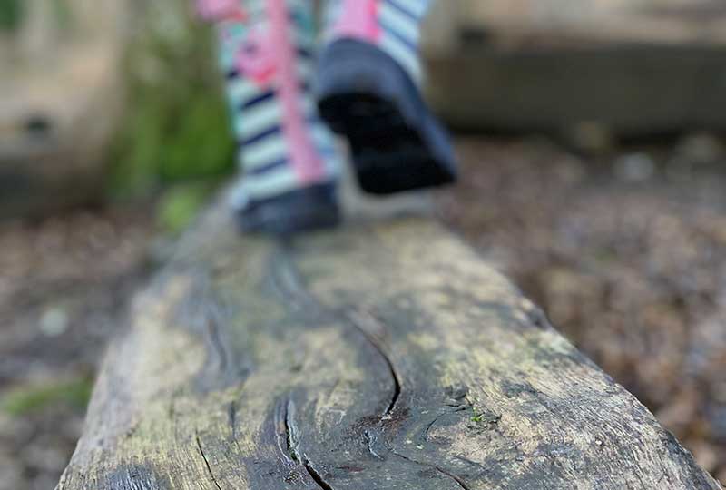 Walking trails in the south downs