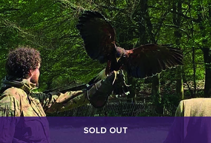 Sold Out - Introduction to Falconry