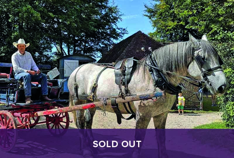 Sold Out = Driving Heavy Horse course