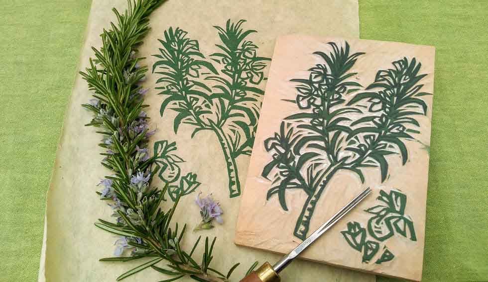 Herbal woodcut