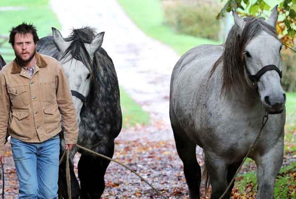 Andy Robinson with Kash and Ollie