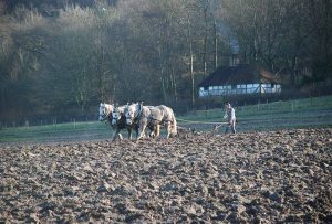 HLW - Ploughing