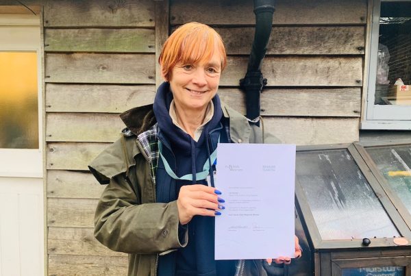 Lyn Burlyn Landscape