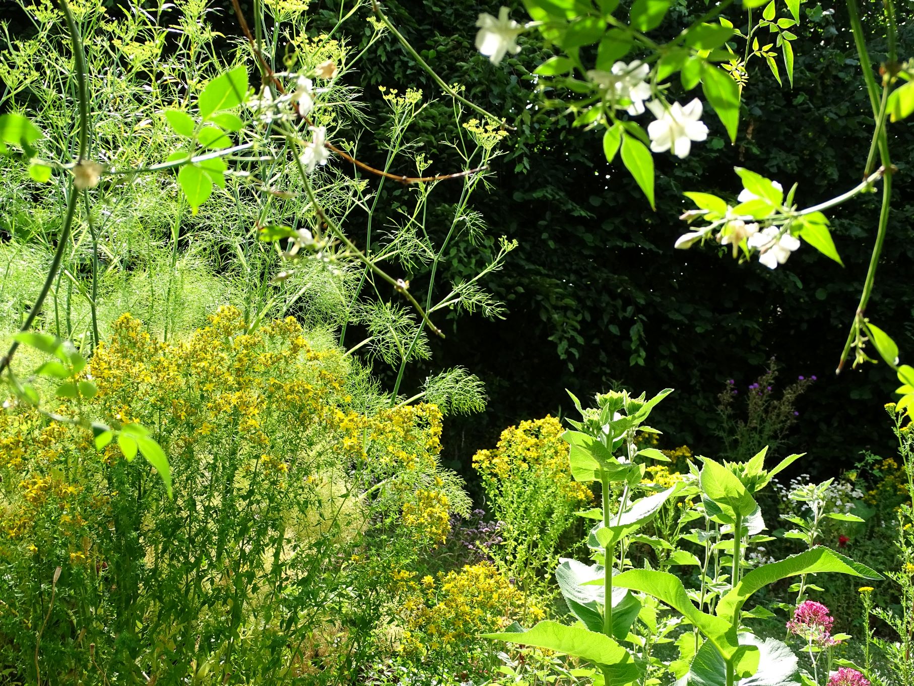 the temperament garden