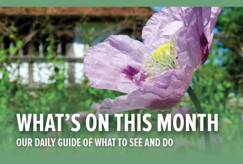 Whats on in Spring at the Weald & Downland Living Museum