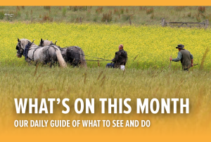 What's on this Summer at the Weald & Downland Living Museum