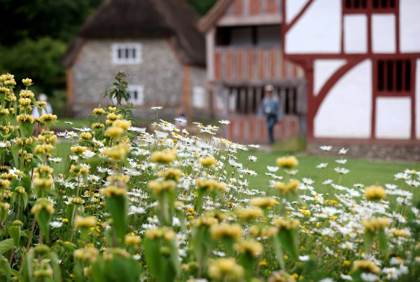 A Gardening Way of Life