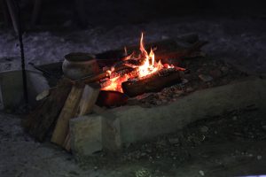 SSP 0002 1