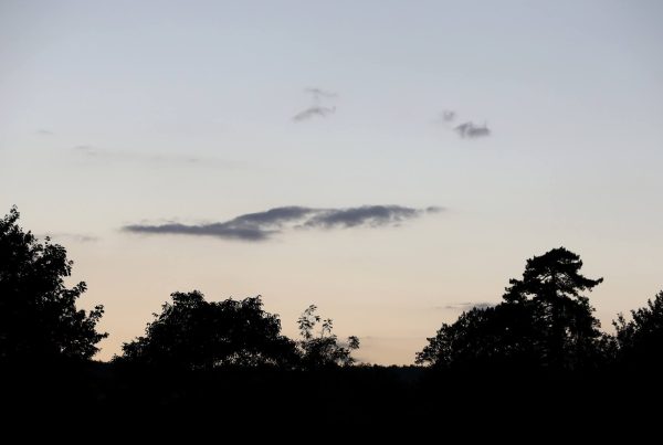 The weald & Downland Museum