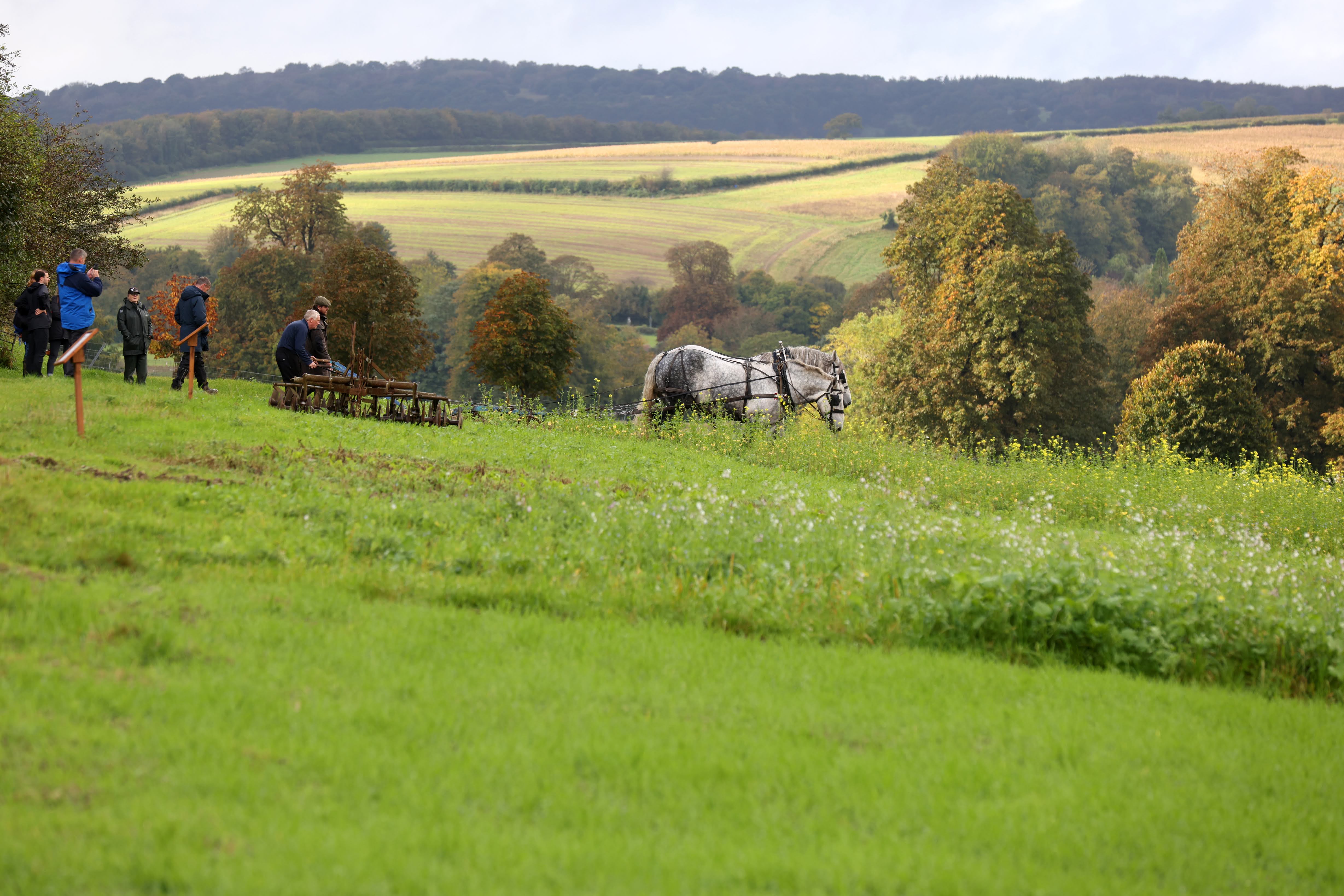 Weald and Downland Living Museum, from Weald & Downland Living Museum