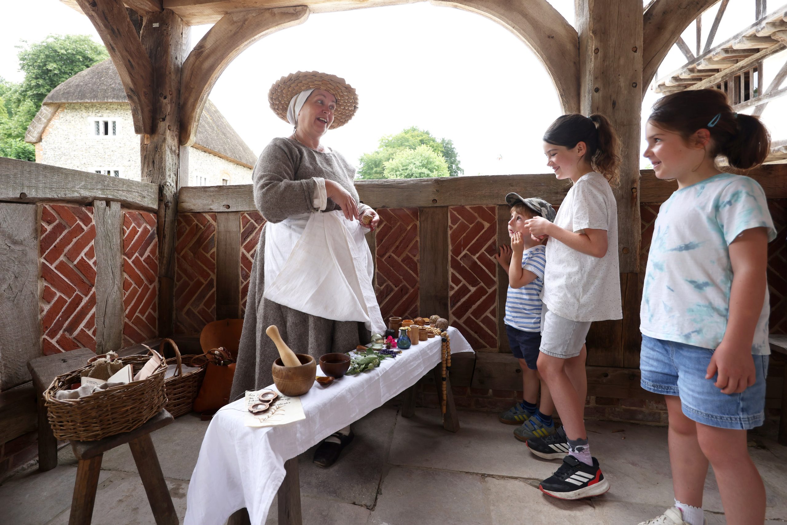 Weald and Downland Museum