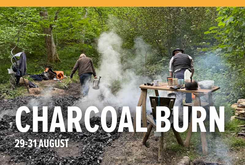 August Charcoal Burn at the Weald & Downland Living Museum