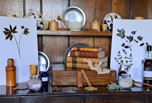 Herbs at sea course at the Weald Downland Living Museum