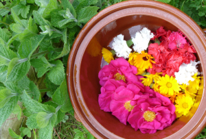 Herbs for Health Healing Physical and Emotional Wounds