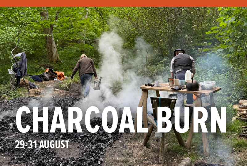 August Charcoal Burn at the Weald & Downland Living Museum