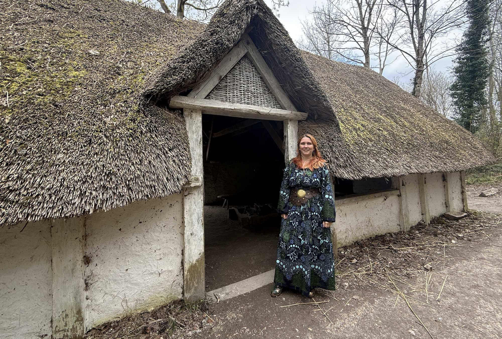 Saxon Stories at Weald & Downland Living Museum