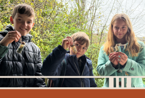 October Half Term: Plagues & Potions 51 October Half term at the Weald & Downland Living Museum