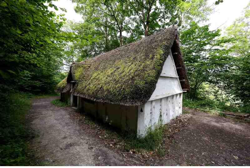 An Introduction to Old English course at the Weald & Downland Living Museum