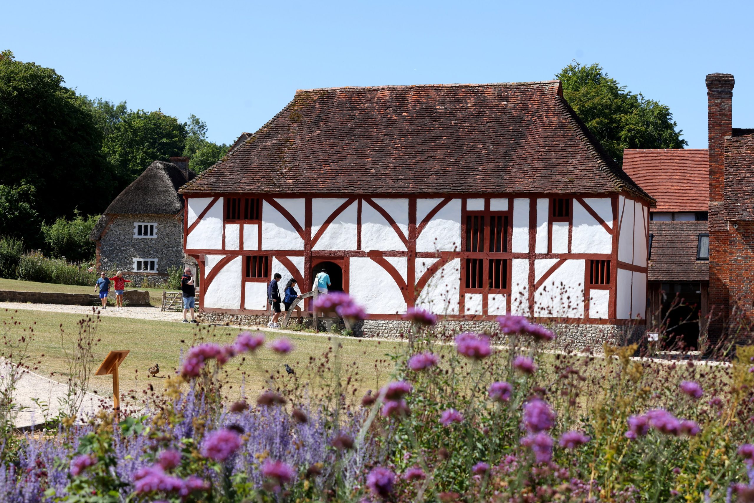 Spring at Weald & Downland Living Museum