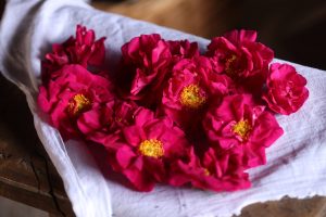 The Longest Day: Midsummer, Myth, and the Living Land 4 SSP 0043 7