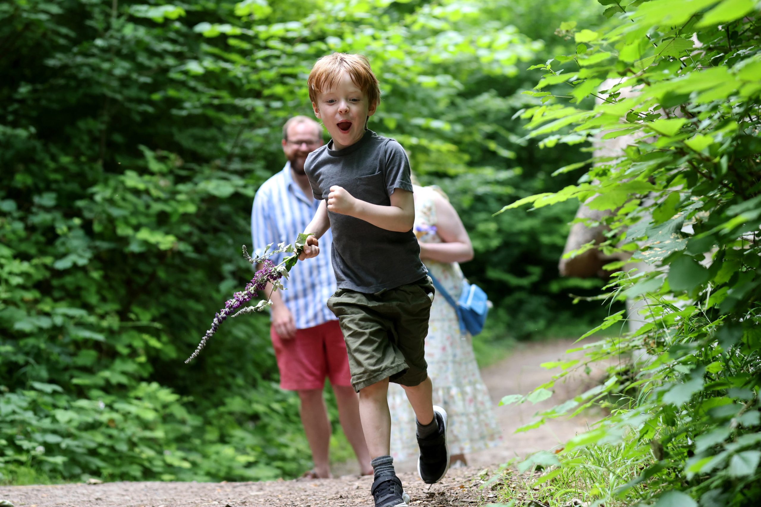 Nature Explorer 7 Nature Explorer Home Education at the Weald & Downland Living Museum
