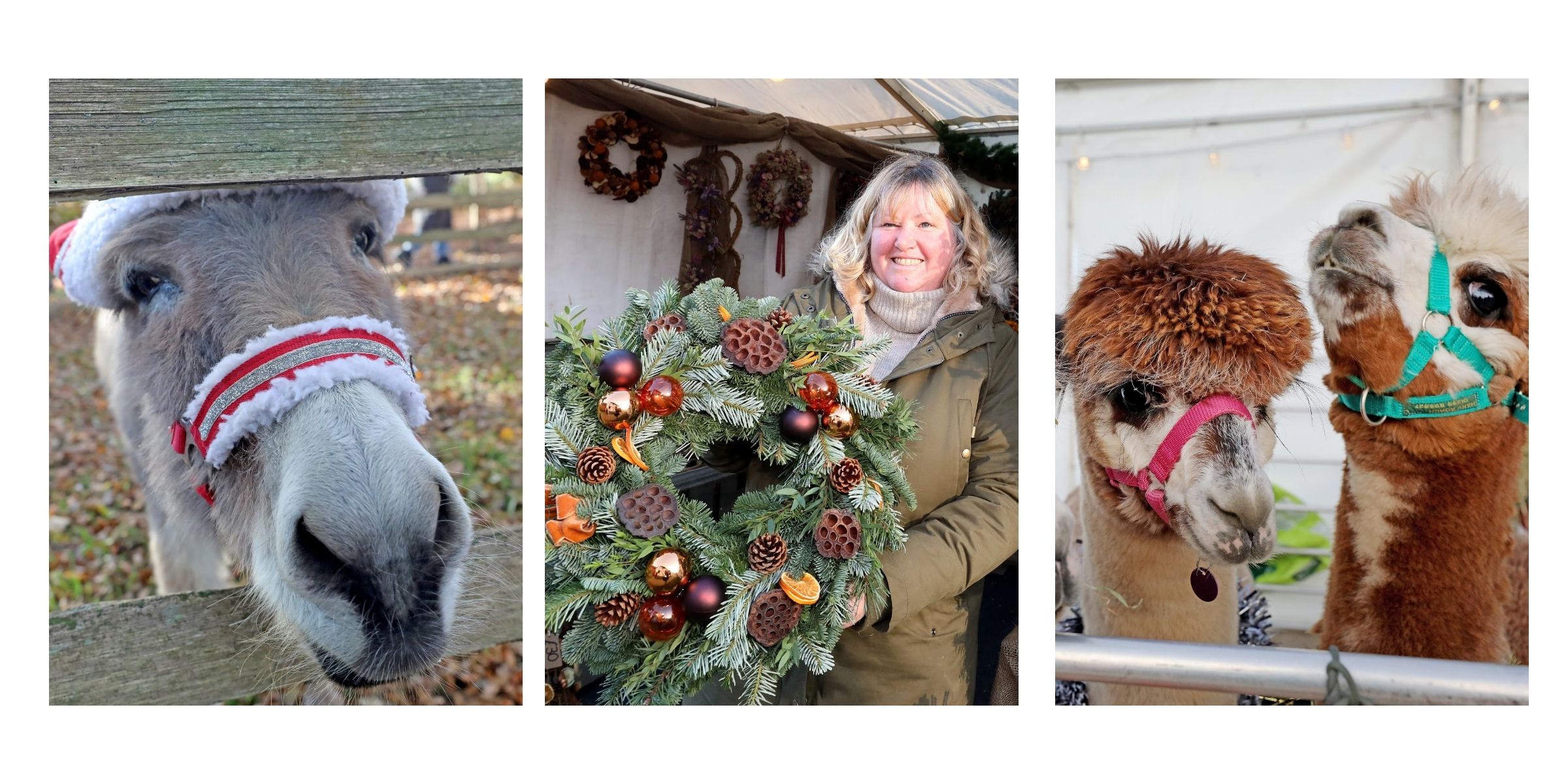 14 Christmas Market at the Weald & Downland Living Museum (1)